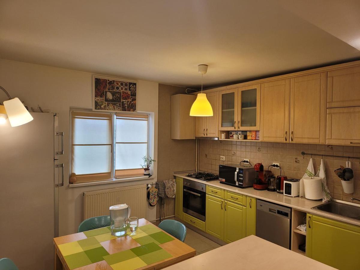 Family Friendly With Kids Room, Quiet And Peaceful Bucharest Exterior photo